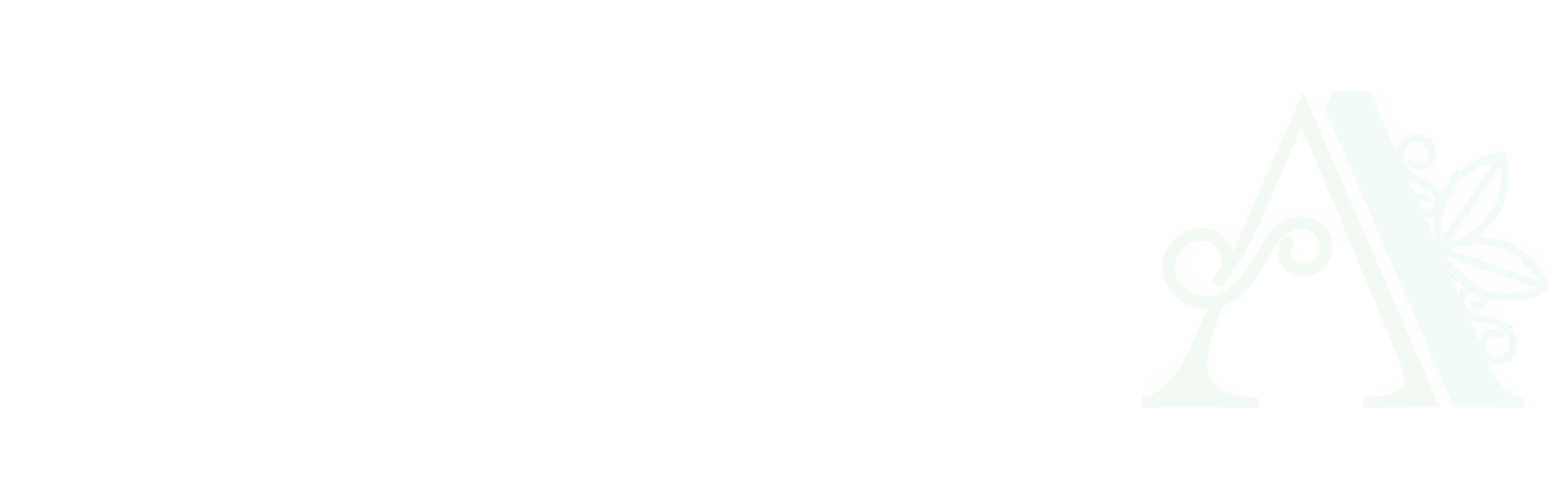 آتوسا شاپ